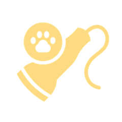 yellow pet laser therapy icon