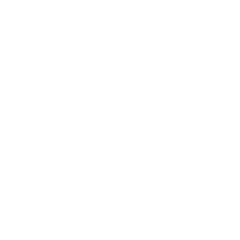 chat icon